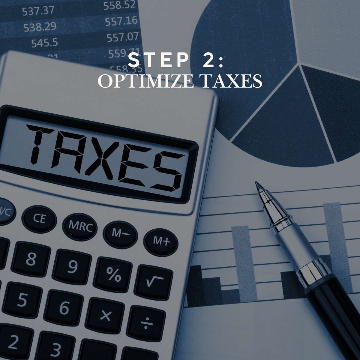 Step 2_ Optimize Taxes